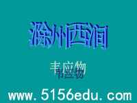 《滁州西涧》ppt课件(7页)